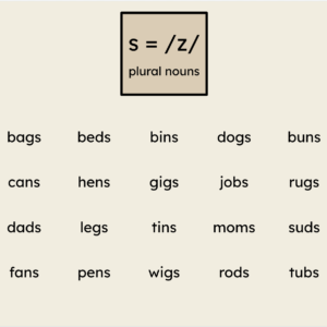 Orton-Gillingham Virtual Phonics Lesson: s = /z/ Words
